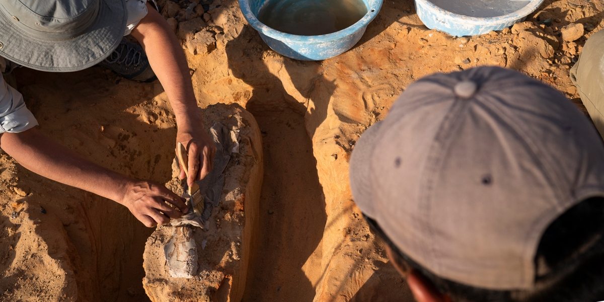 INFINITI QX Series hunt for fossils in Gobi Desert